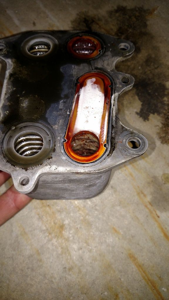 Clogged oil cooler / frost heater Forums